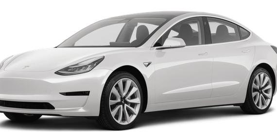 TESLA MODEL 3 2020 5YJ3E1EB9LF667346 image